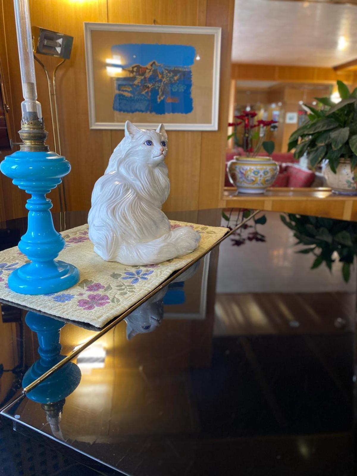 Hotel Sila カミリアテッロ・シラーノ エクステリア 写真